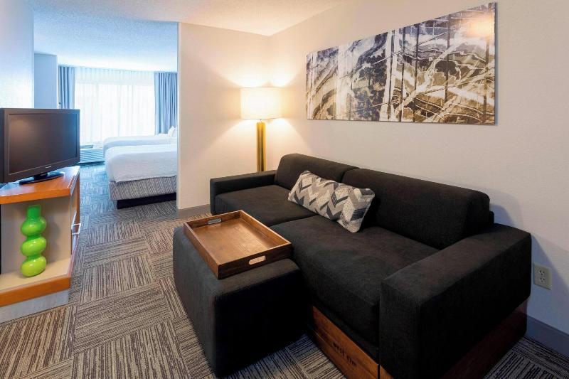 Springhill Suites Rochester Mayo Clinic Area/St. M image