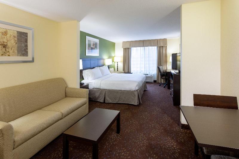 Holiday Inn Expr and Sts Rochester - Mayo Clinic image