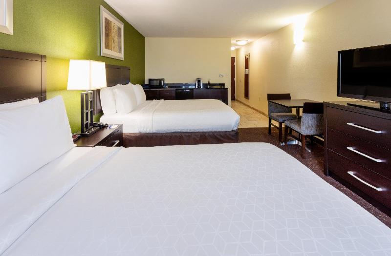 Holiday Inn Expr and Sts Rochester - Mayo Clinic image