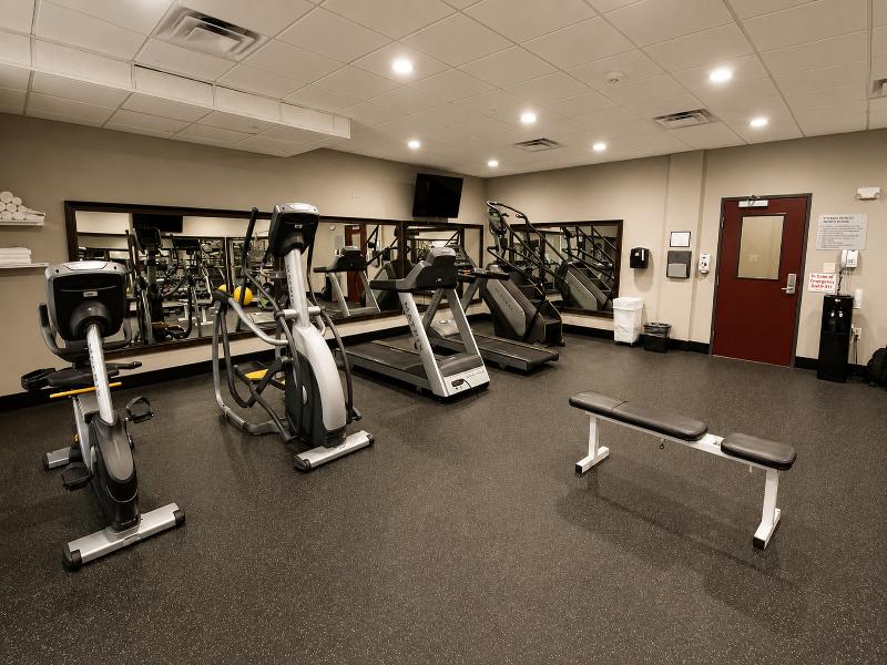 Atrium Hotel & Suites DFW South image