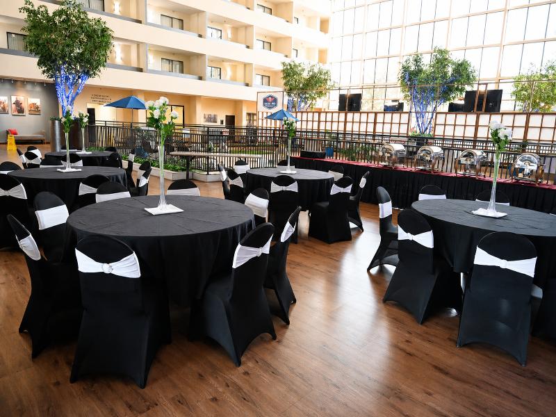 Atrium Hotel & Suites DFW South image