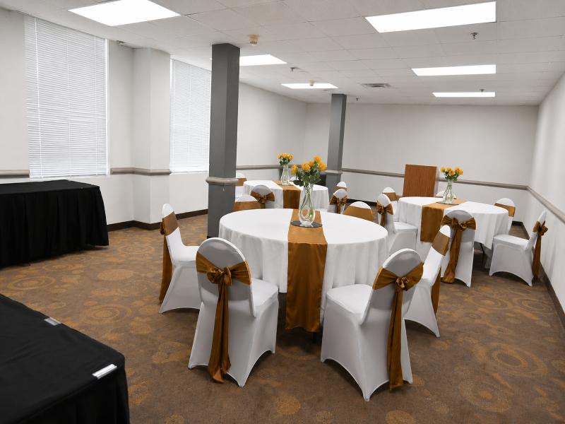 Atrium Hotel & Suites DFW South image