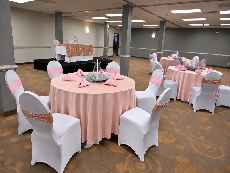 Atrium Hotel & Suites DFW South image