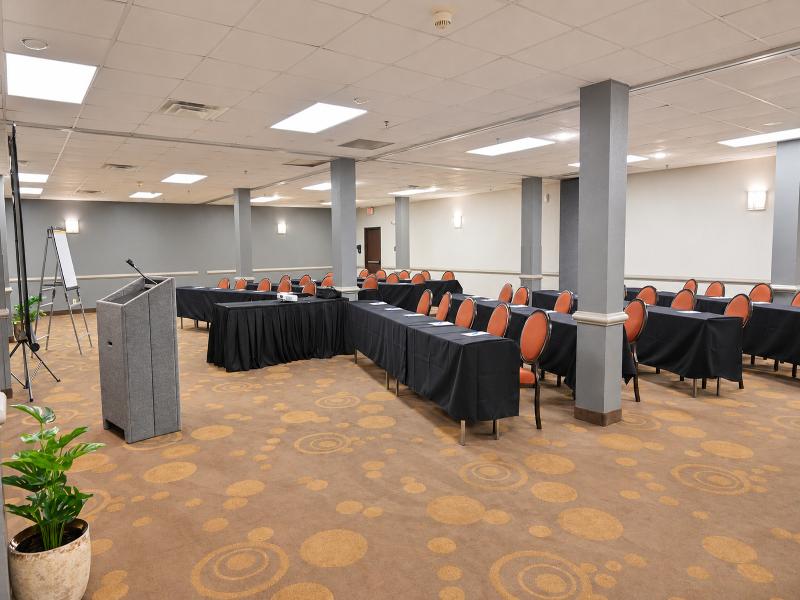 Atrium Hotel & Suites DFW South image