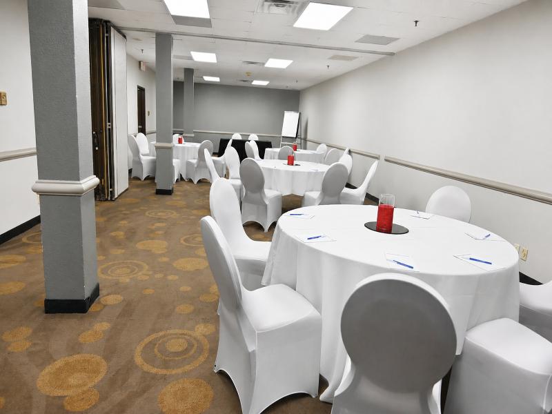 Atrium Hotel & Suites DFW South image
