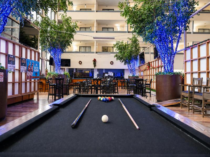 Atrium Hotel & Suites DFW South image