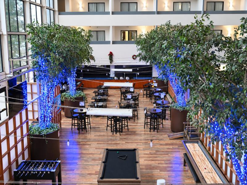 Atrium Hotel & Suites DFW South image