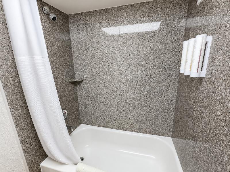Atrium Hotel & Suites DFW South image