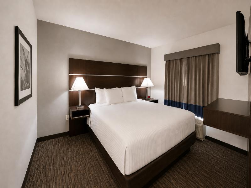 Atrium Hotel & Suites DFW South image