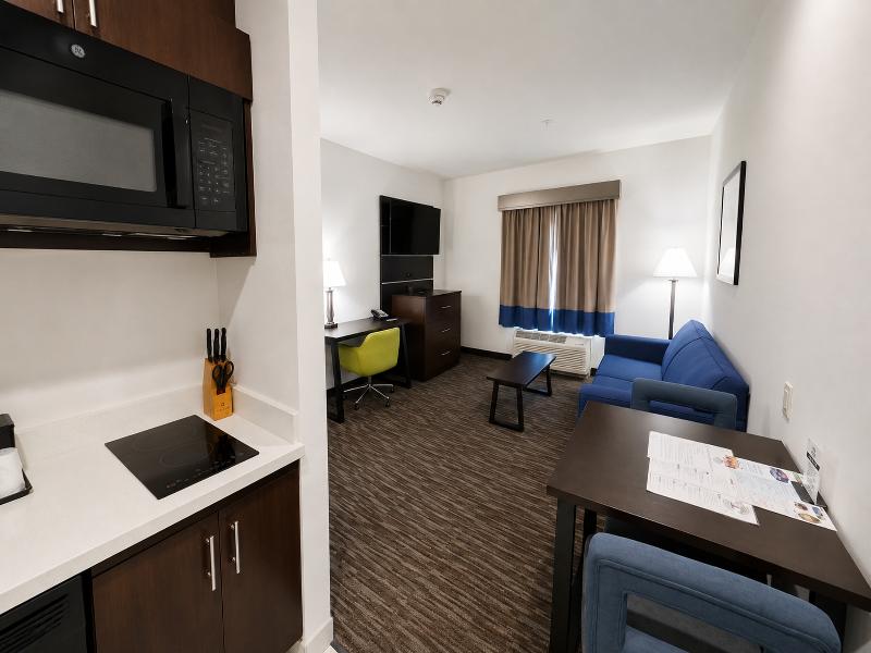 Atrium Hotel & Suites DFW South image
