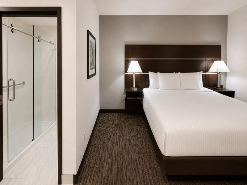 Atrium Hotel & Suites DFW South image