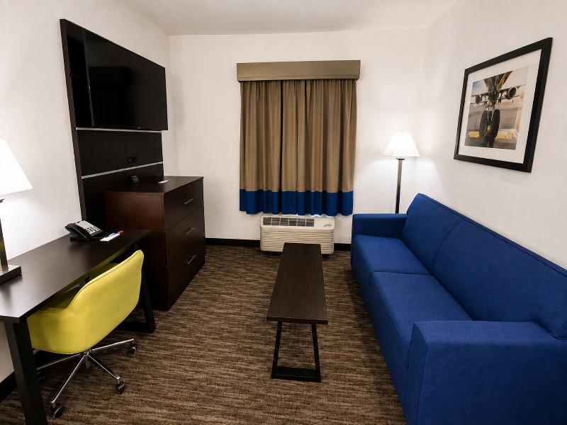 Atrium Hotel & Suites DFW South image