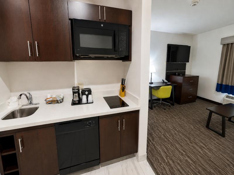 Atrium Hotel & Suites DFW South image