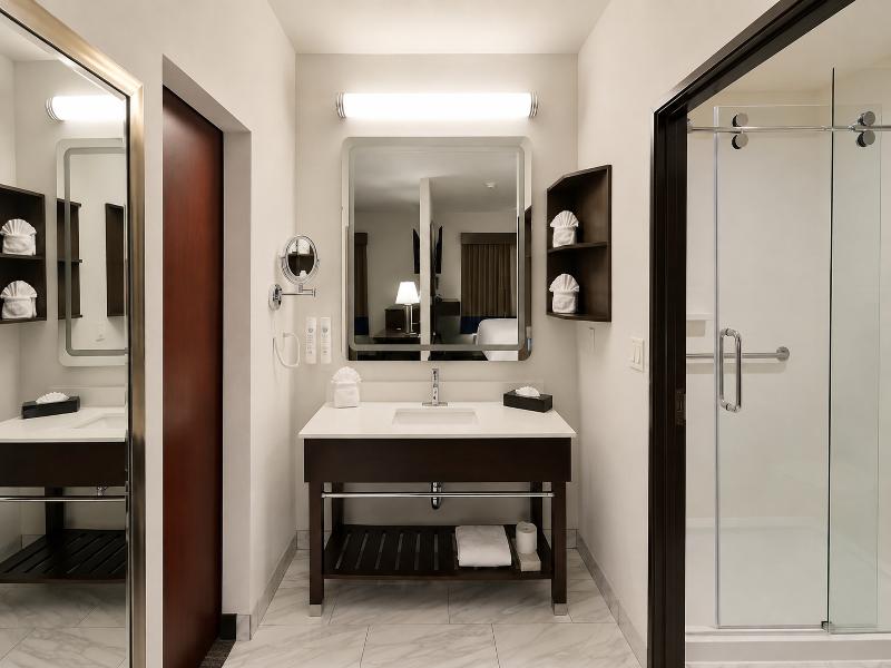 Atrium Hotel & Suites DFW South image
