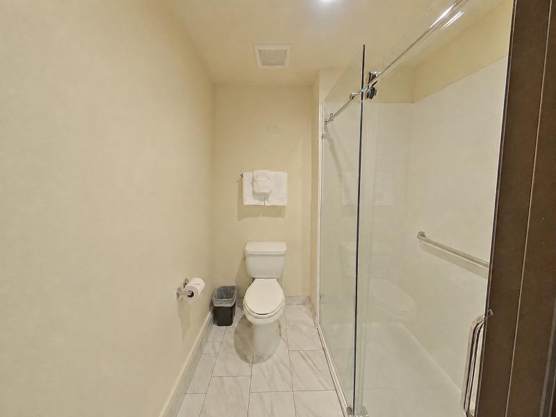 Atrium Hotel & Suites DFW South image