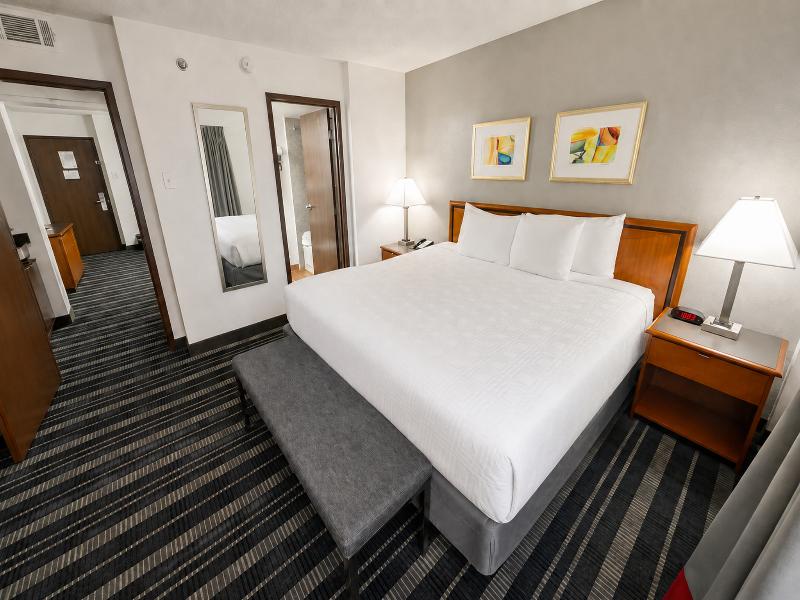 Atrium Hotel & Suites DFW South image