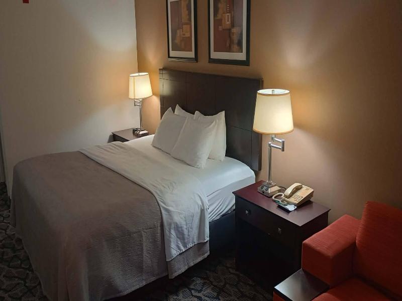 Quality Inn & Suites image