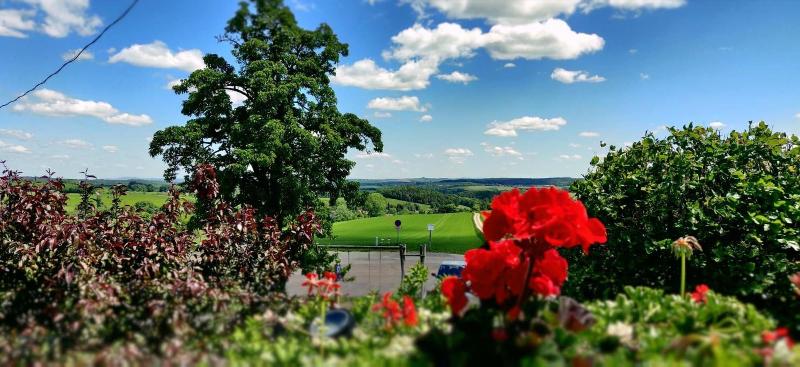 Neue Höhe Hotel  image