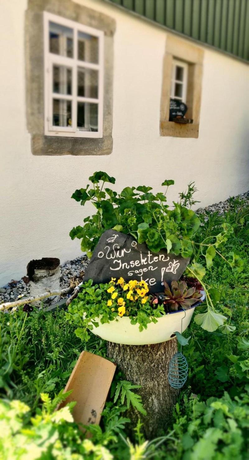Neue Höhe Hotel  image