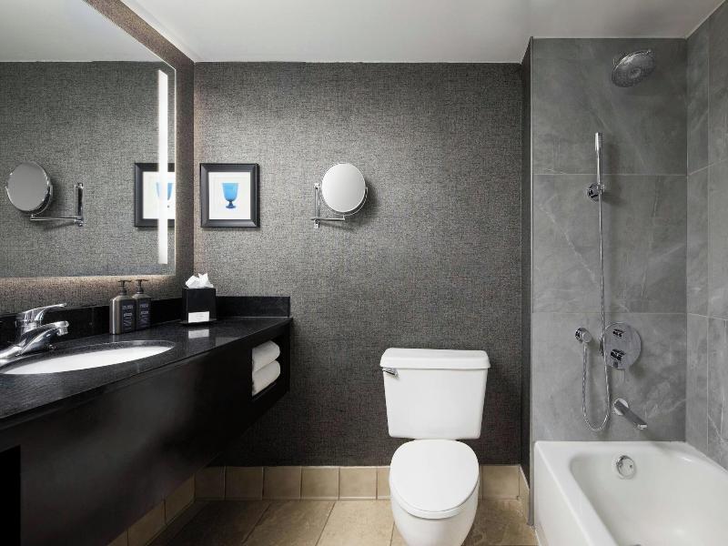 Sheraton DFW Airport Hotel image