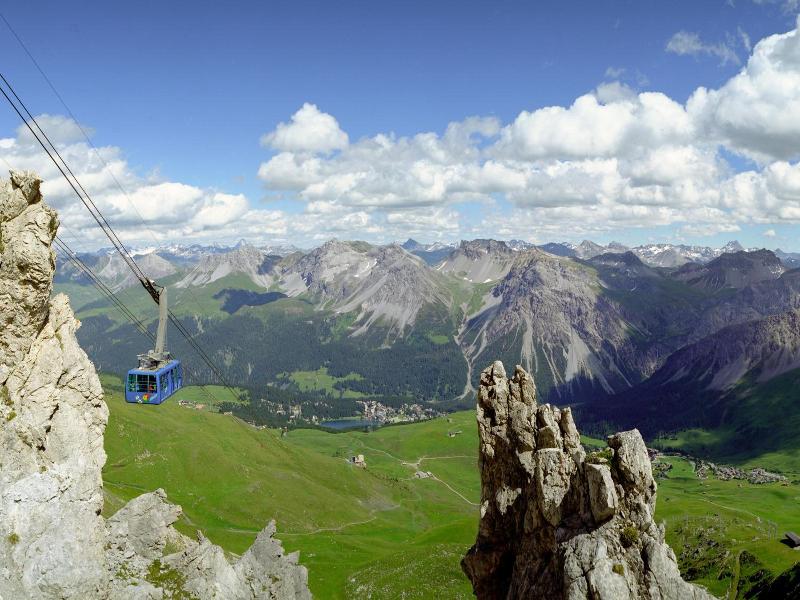 Belarosa image