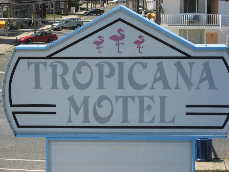 Tropicana Motel image