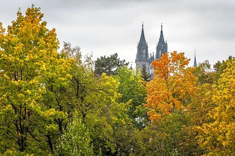 Hotel & Wellness Goldenes Fass Meissen  image