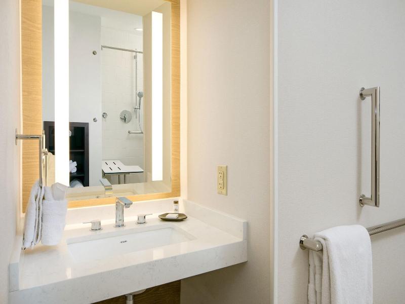 Sheraton Detroit Metro Airport Hotel image
