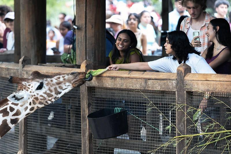 Holiday Inn Dallas - Garland By IHG