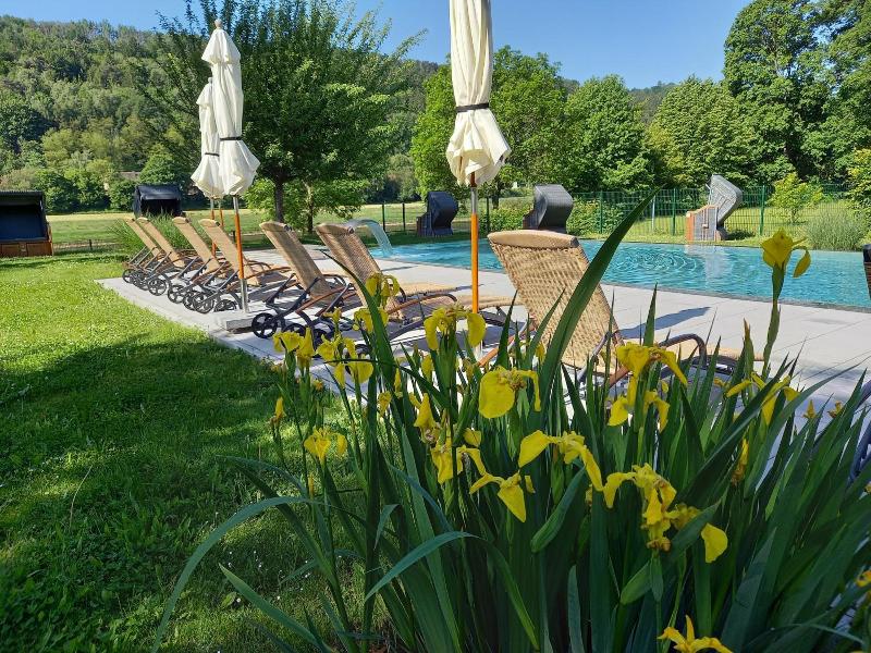Parkhotel Bad Schandau image