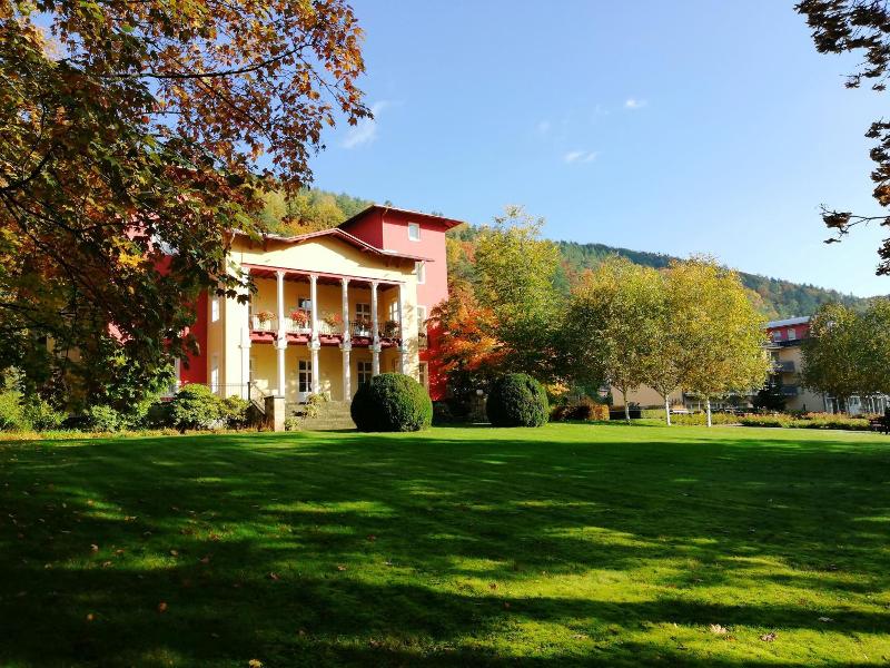 Parkhotel Bad Schandau image