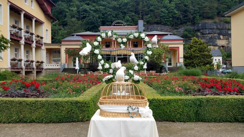 Parkhotel Bad Schandau image