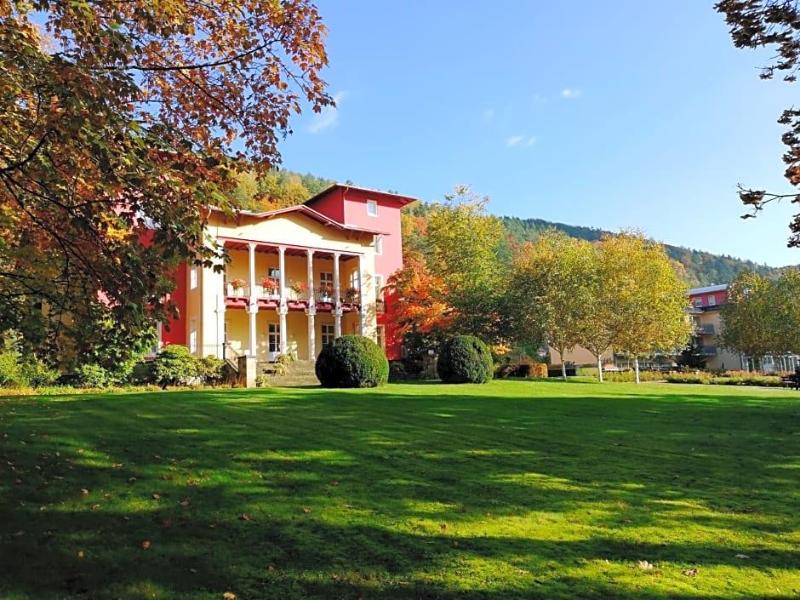 Parkhotel Bad Schandau image