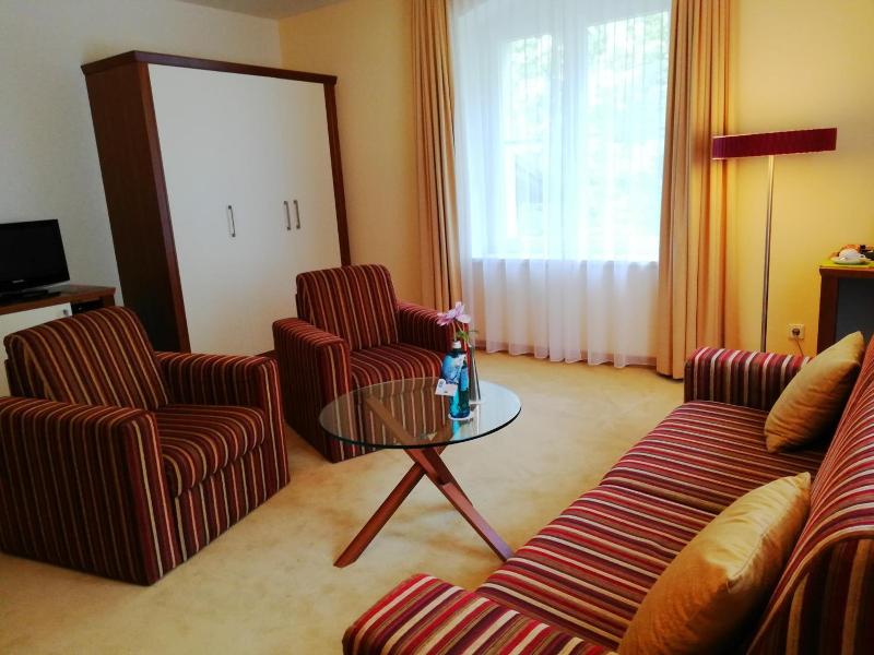 Parkhotel Bad Schandau image