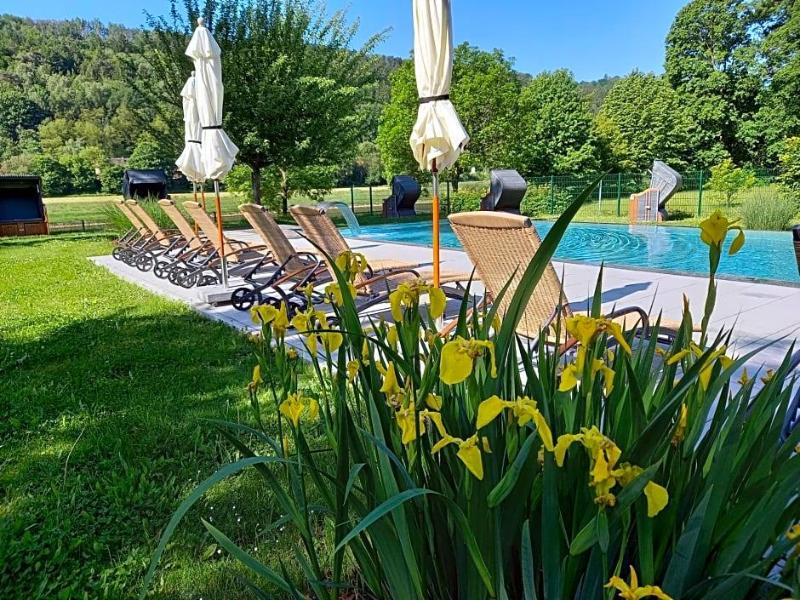 Parkhotel Bad Schandau image