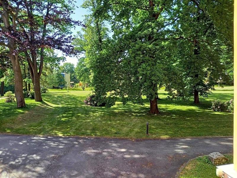 Parkhotel Bad Schandau image