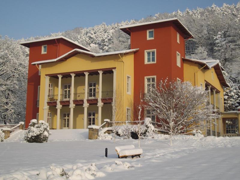 Parkhotel Bad Schandau image