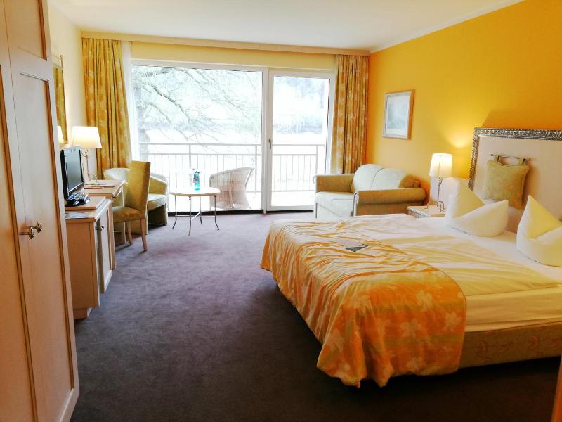 Parkhotel Bad Schandau image