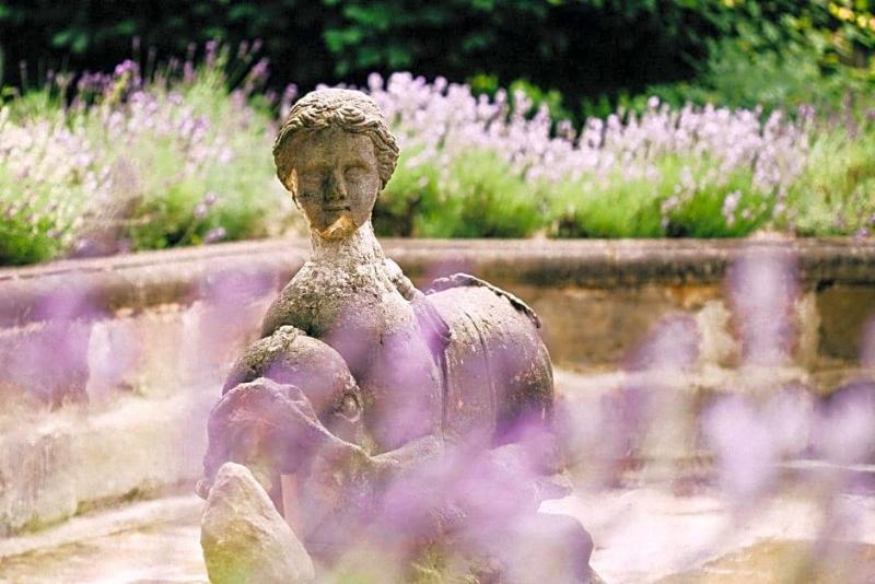 Villa Sorgenfrei image