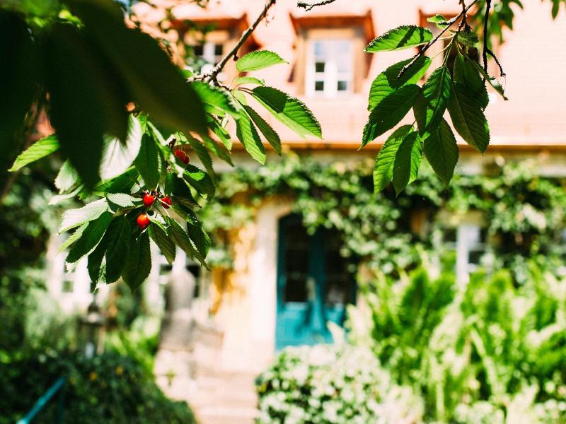Villa Sorgenfrei image