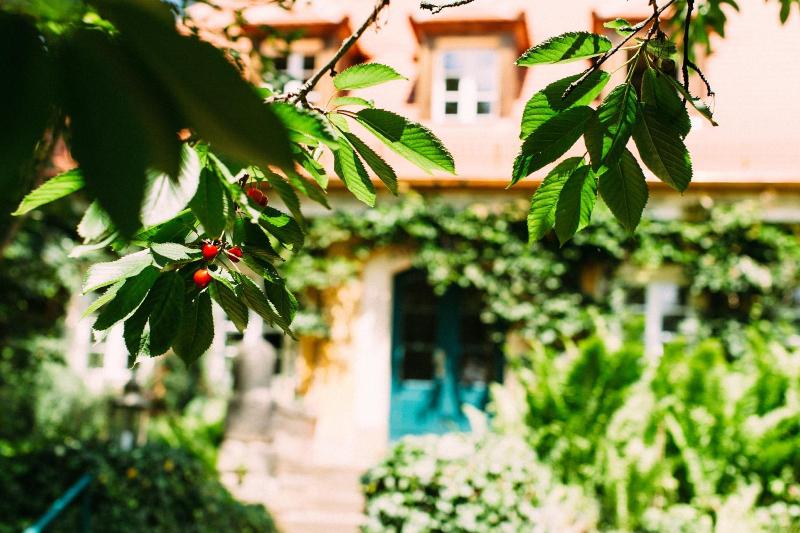 Villa Sorgenfrei image