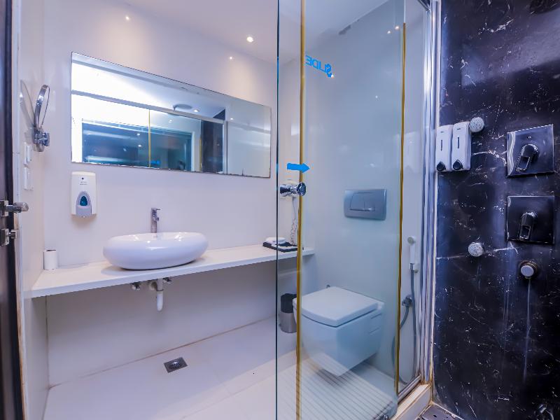 Hotel Godwin Deluxe Near Connaught Place New Delhi image