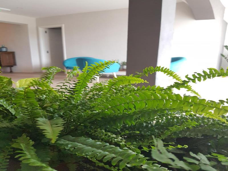 Stipe image