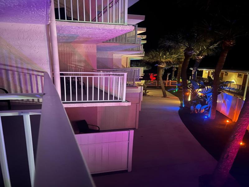 Flamingo Inn image