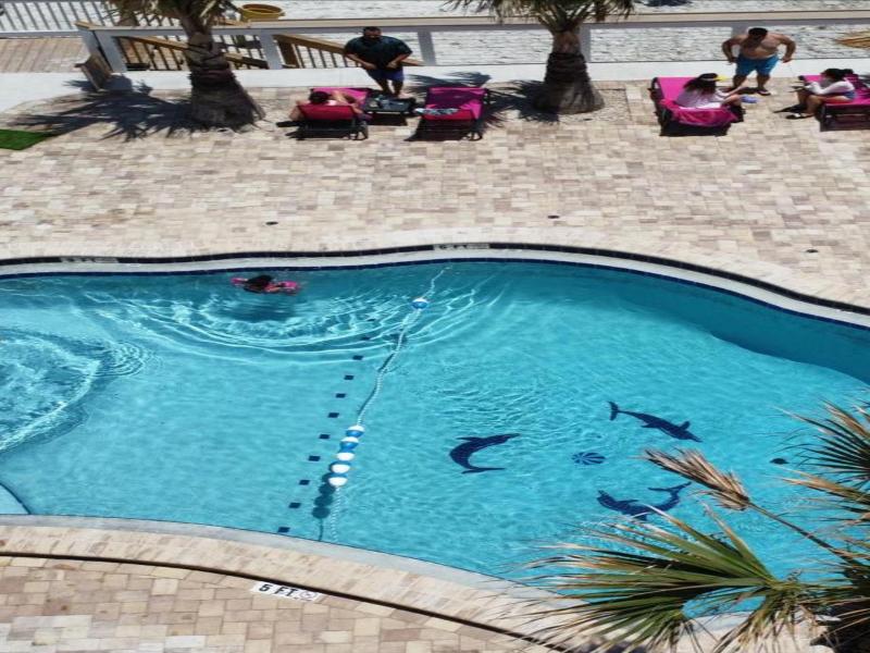 Flamingo Inn image