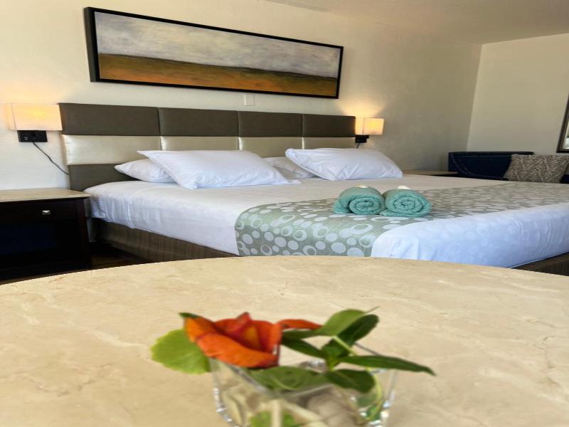Flamingo Inn image