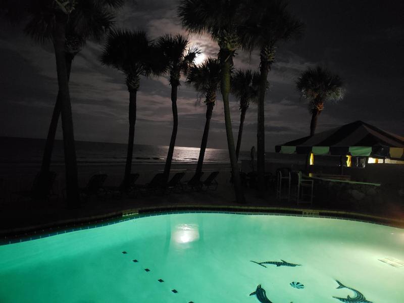 Flamingo Inn image