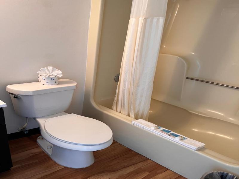 Flamingo Inn image