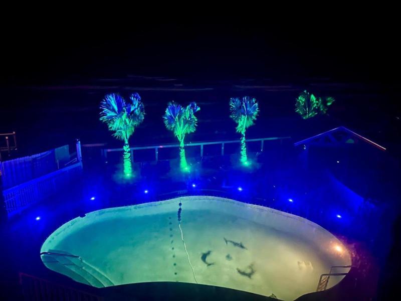 Flamingo Inn image