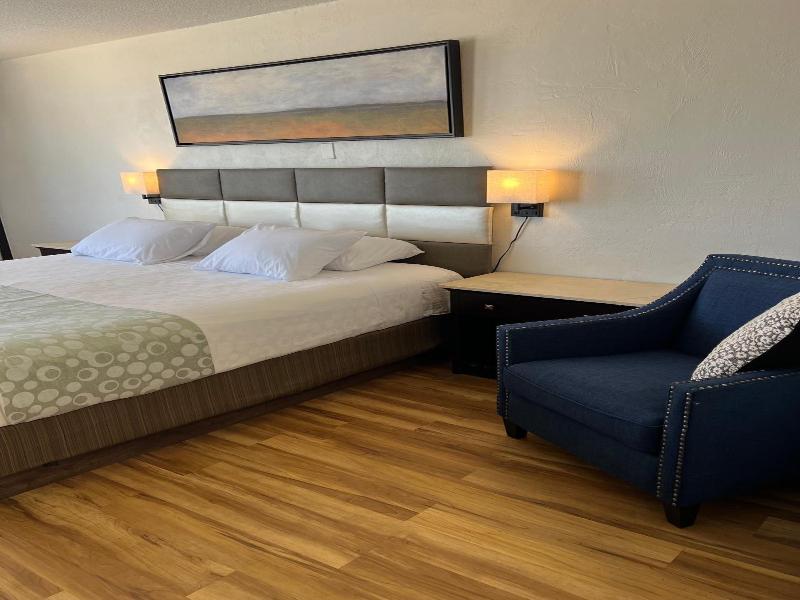 Flamingo Inn image